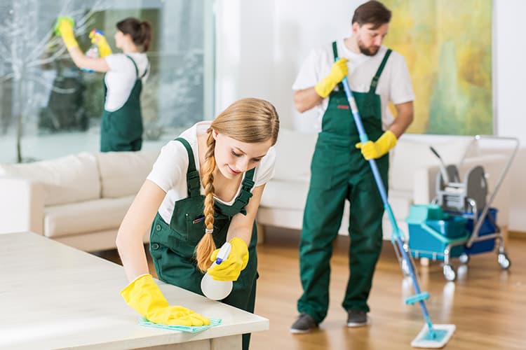 Sparkle Cleaning Team